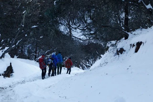 Everest Base Camp Trek in Winter