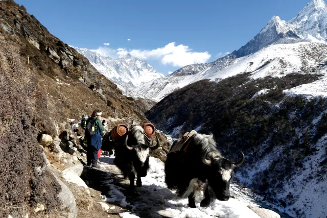 Everest Base Camp Trek in Winter