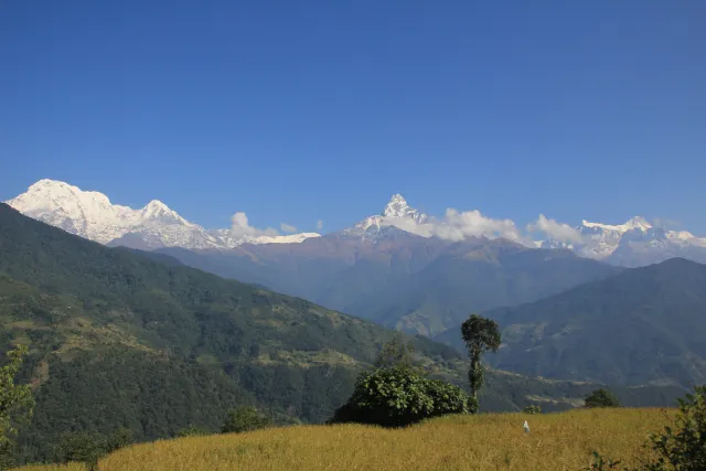 Mt.Machhapuchre(Fishtail) and massif Annapurna