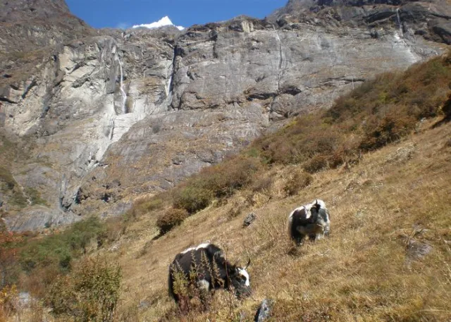 Trekking to Langtang National Park