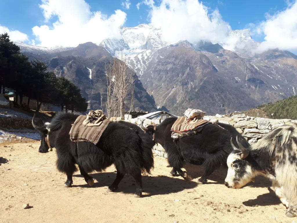 Kathmandu to Mount Everest Distance