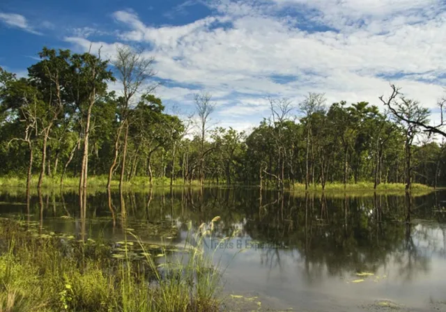 Chitwan National Park