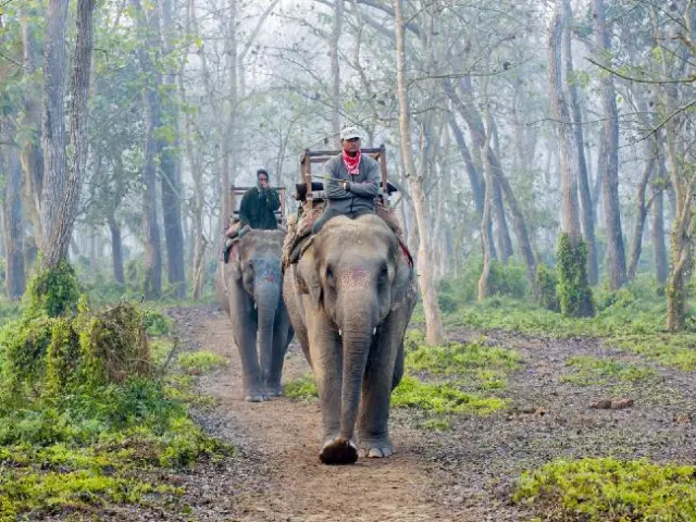 Aussies holidaying in Chitwan National Park